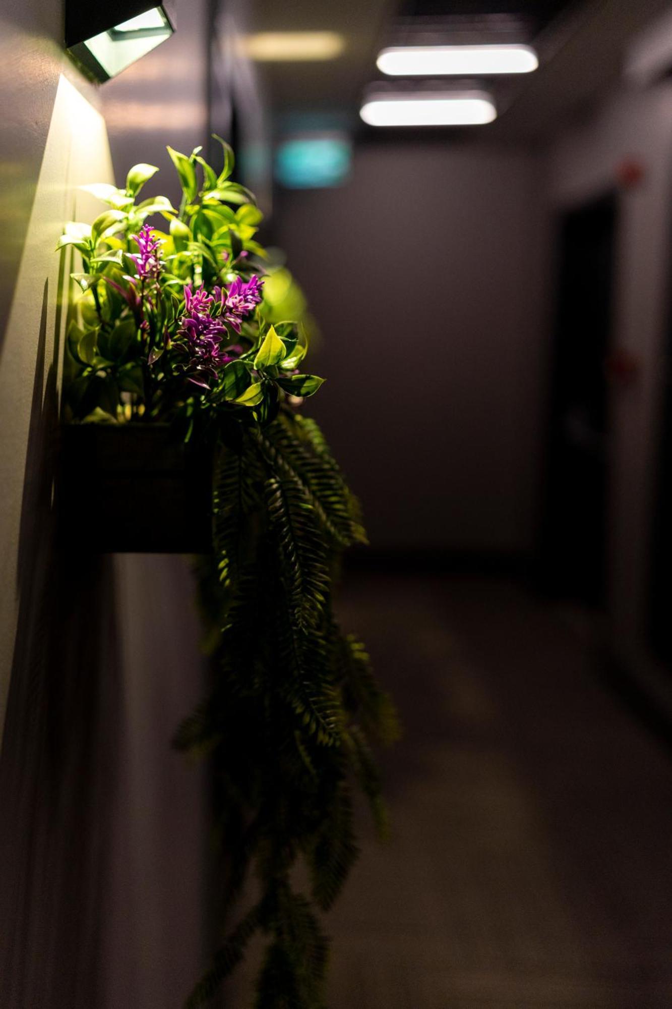 Brandroom Hotel Stambuł Zewnętrze zdjęcie